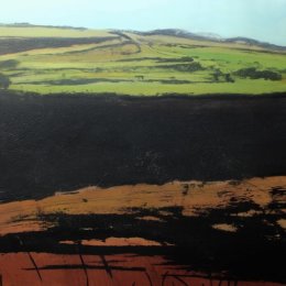 White Downs I