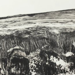 White Downs