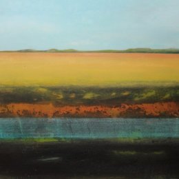 Wicken Fen VI