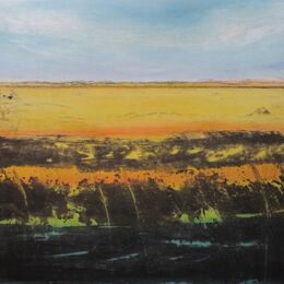 Wicken Fen XVI