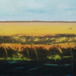 Wicken Fen XV