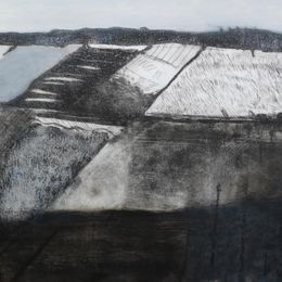 Wicken Sedge Fen III
