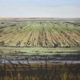 Winter Fen VII