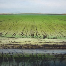 Winter Fen V