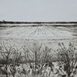 Winter Field State II