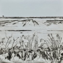 Winter Field