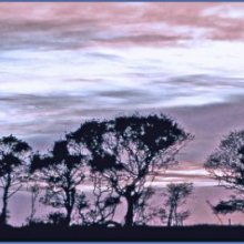 20 AngelaMulligan Evening Skyline M1