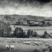20 Fred Dawson Dartmoor Prison M1