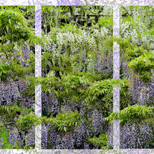 2 Wisteria Trellis Carol Walker IWPS