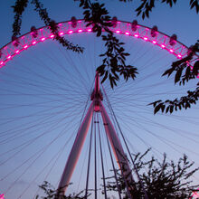 34 Nightwheel O W IWPS