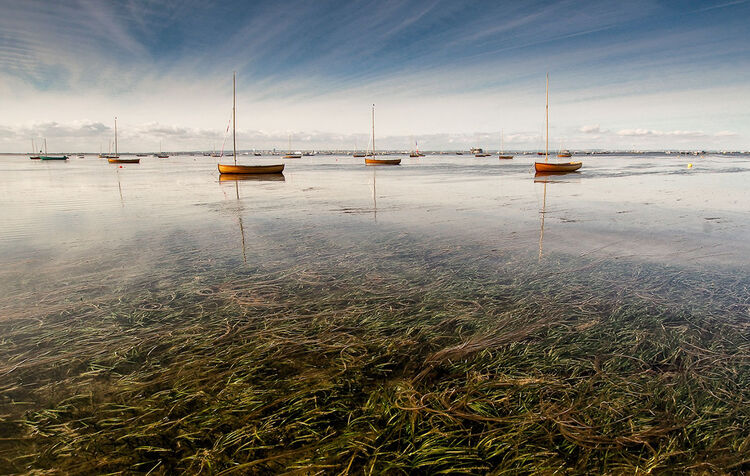 5 Calm Waters Christian Beasley IWPS
