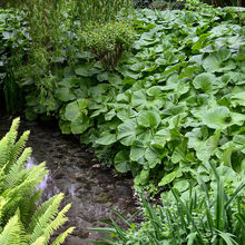 Alan Parker Northcourt Manor 3 IWPS