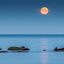 Alf Damp Moonset behind the wreck Focus Ryde