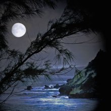 AngelaMulligan moonlit sky LandscapeofYr