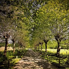Angela Mulligan Approach to Quarr M6