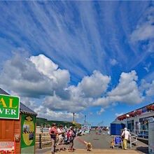 Anne Dziedzicki Falmouth Skies T