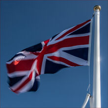 Anne Dziedzicki Flag M