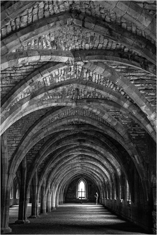 Anne Dziedzicki Fountains Abbey M6 O IWPS
