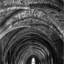 Anne Dziedzicki Fountains Abbey M6 O IWPS