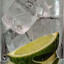 Anne Dziedzicki Ice and Slice S IWPS