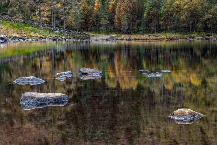 Anne Dziedzicki Lake Vista L IWPS