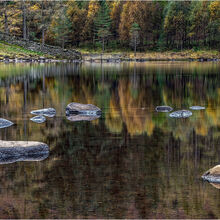 Anne Dziedzicki Lake Vista L IWPS