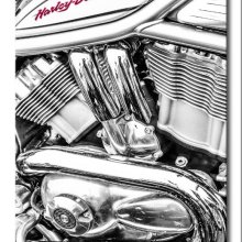 Anne Dziedzicki Motor Biking M2
