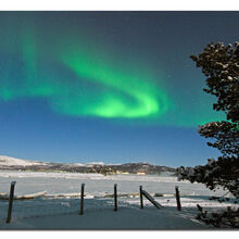 Anne Dziedzicki Norwegian Skies T