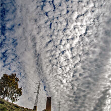 Anne Dziedzicki Spanish Skies T