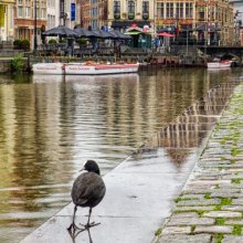 Carol Walker A Stroll by the Canal M6