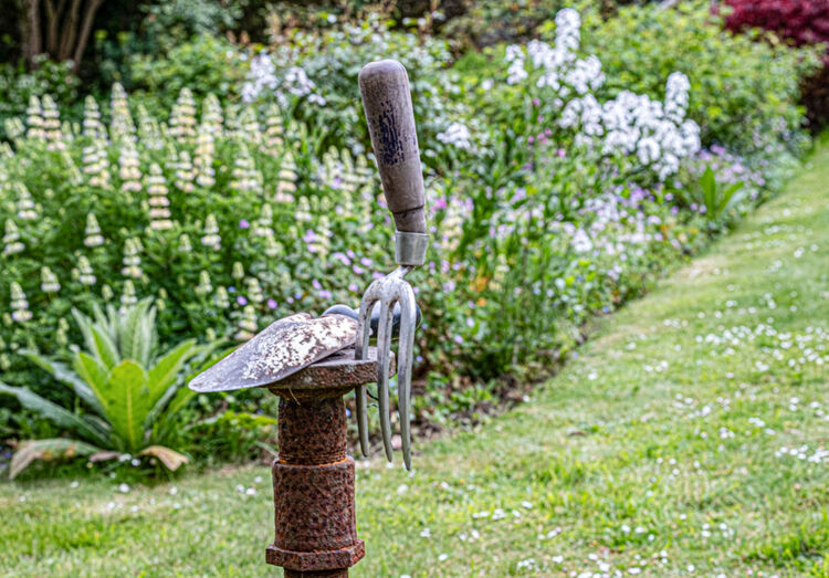 Carol Walker Fork and Trowel