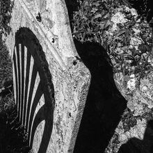 Carol Walker Grave Shadows LS