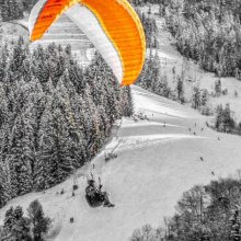 Carol Walker Orange Canopy M6