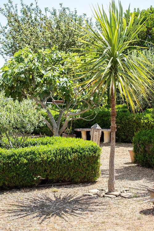 Carol Walker Palm and ShadowBrading Roman Villa