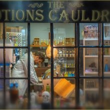 Carol Walker Potions Master M5