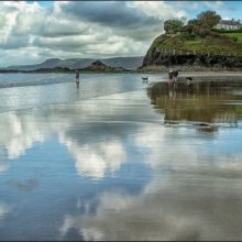 Carol Walker Reflections on the Beachjpg