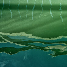 Carol Walker Ripples on the Water M