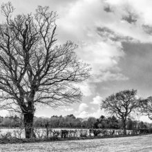 Carol Walker Winter Landscape M4