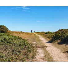 Chris Orchin Loneliness of the Long Distance Walker HL