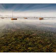 ChristianBeasley Calm Waters M2 L IWPS