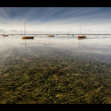 Christian Beasley Calm Waters L IWPS