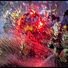 Christian Beasley Rain Upon My Window Pane C IWPS