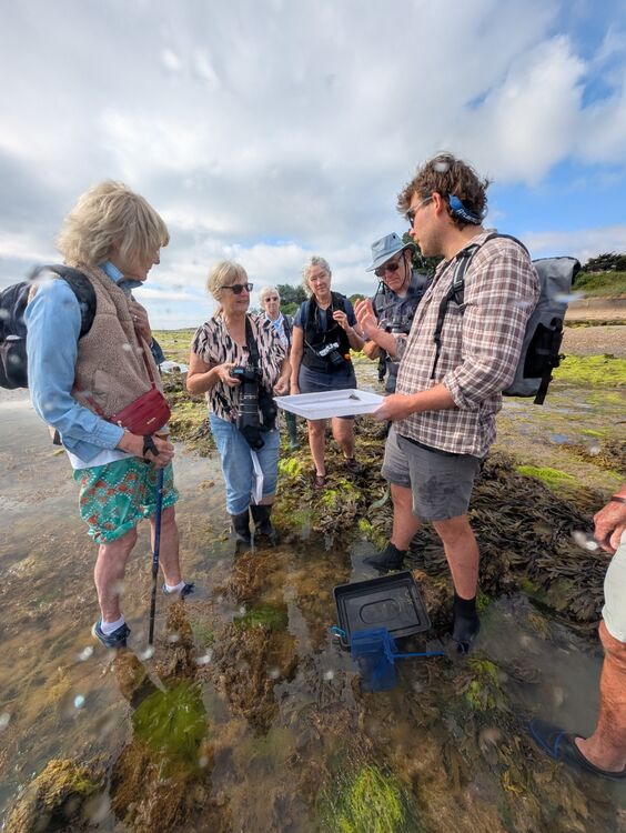 Christian Beasley Rockpool Safari 1