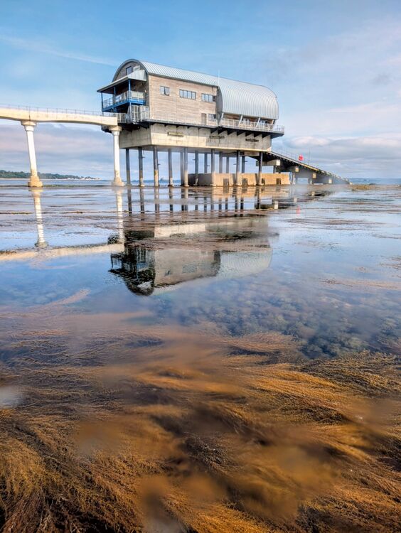 Christian Beasley Rockpool Safari 2