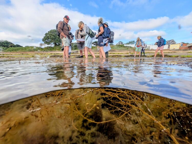 Christian Beasley Rockpool Safari 4