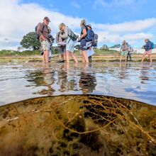 Christian Beasley Rockpool Safari 4