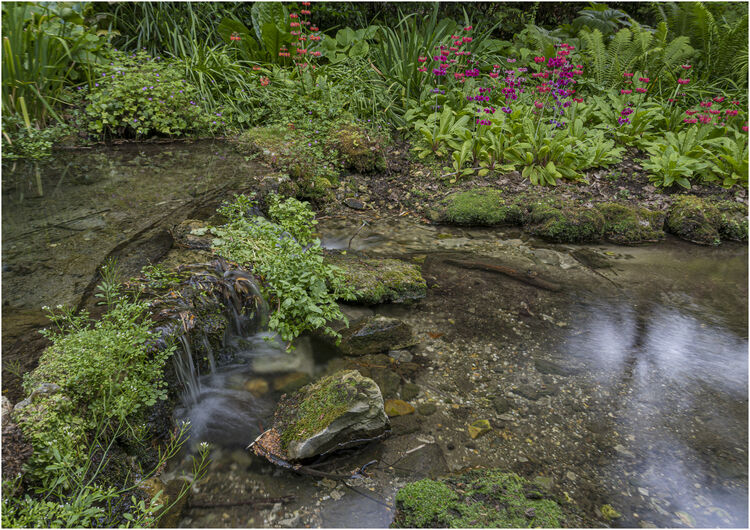 Chuck Eccleston ARPS 2026 Northcourt Shorwell Buddle Brook 1
