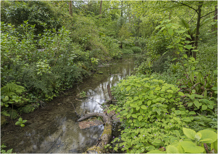Chuck Eccleston ARPS 2026 Northcourt Shorwell Buddle Brook 2