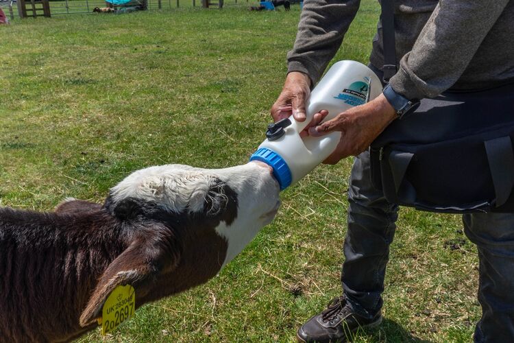 Feeding timr