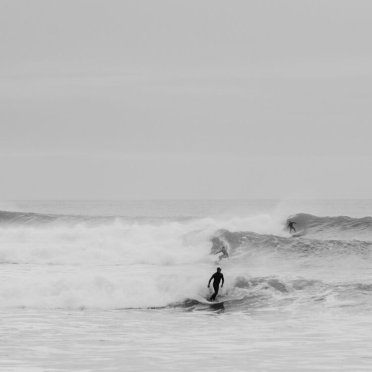 HC Suzy Fraser Party Wave Niton & DCC